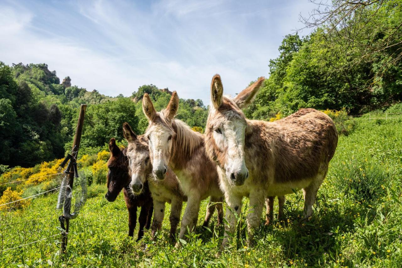 Il Giaggiolo Vila Reggello Exterior foto