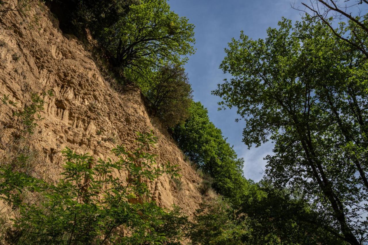 Il Giaggiolo Vila Reggello Exterior foto